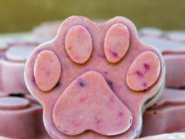 https://acultivatednest.com/wp-content/uploads/2018/08/frozen-dog-treats-peanut-butter-berry-pops-500px-260x195.jpg