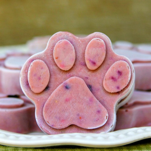 How To Turn Dog Toys Into Frozen Treats