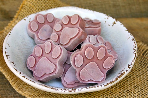 Blueberry Popsicles For Dogs (Pupsicles) - Spoiled Hounds