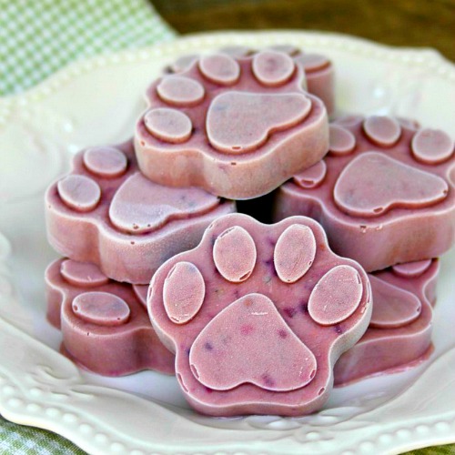 Frozen Dog Treats: Peanut Butter Berry Pops- Give your fur baby a special treat on a hot day and make these delicious homemade frozen dog treats! They contain delicious peanut butter and healthy berries! | frosty dog treat copycat, pupsicle, dog pop, homemade dog treat recipe #recipe #dog #dogTreat #popsicle #puppy #homemade #DIY
