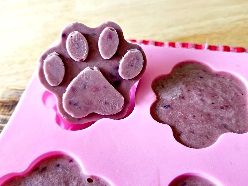 How to Make Dog Popsicle Treats- It's easy to make your own delicious and healthy frozen dog treats! These homemade dog pops contain peanut butter and antioxidant rich berries! | frosty dog treat copycat, pupsicle, dog pop, homemade dog treat recipe #recipe #dog #dogTreat #puppy #popsicle #homemade #DIY