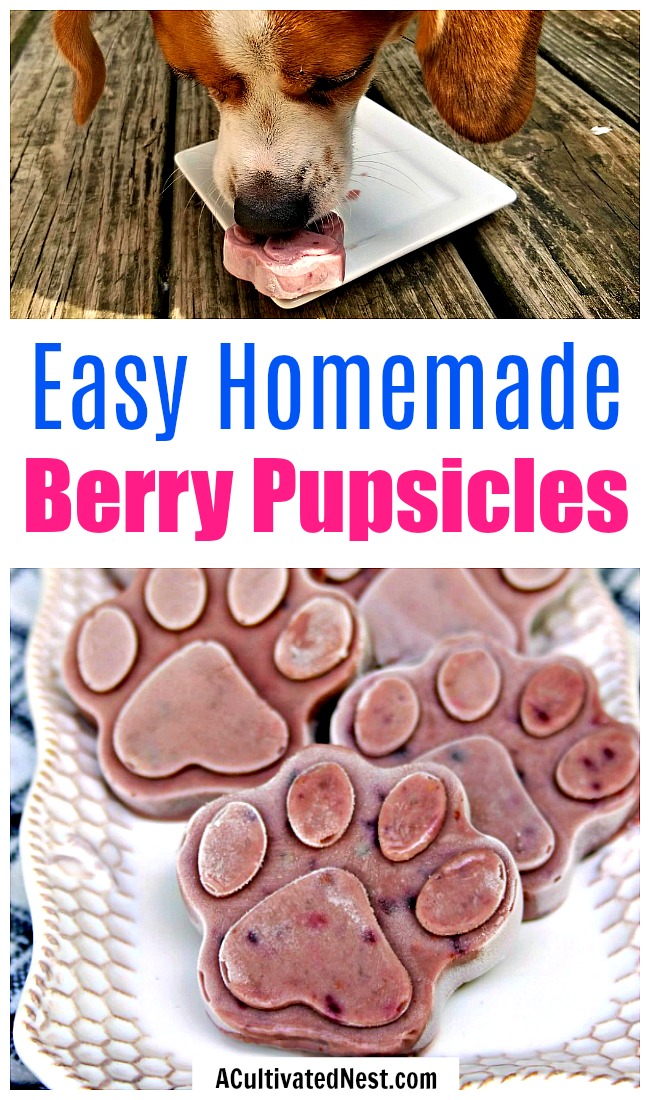 Frozen Dog Treats: Peanut Butter Berry Pops- It's easy to make your own delicious and healthy frozen dog treats! These homemade dog pops contain peanut butter and antioxidant rich berries! | frosty dog treat copycat, pupsicle, dog pop, homemade dog treat recipe #recipe #dog #dogTreat #puppy #popsicle #homemade #DIY