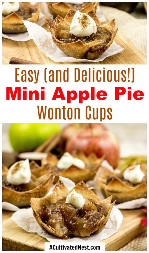 Mini Apple Pie Wonton Cups- Easy Fall Dessert- A Cultivated Nest