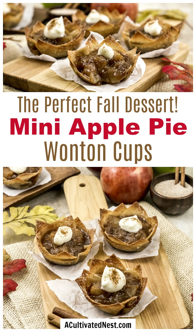 Mini Apple Pie Wonton Cups- If you're looking for the perfect fall dessert, you have to make these mini apple pie wonton cups! They're easy to make, and taste so delicious! They'd also make a great party appetizer! | what to make with extra wonton wrappers, use up extra wonton wrappers, #dessert #recipe #baking #applePie #appetizer #food #fall #autumn #apples #wontonWrappers #ACultivatedNest