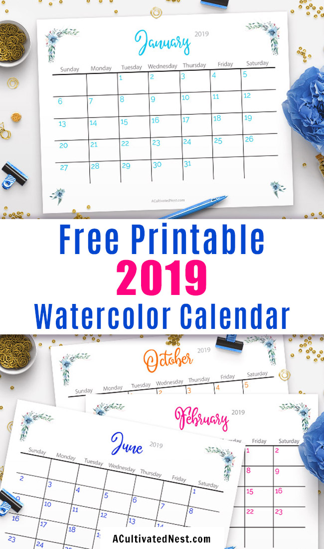 Free Printable 2019 Calendar- Make 2019 your best year yet with this free printable 2019 calendar! It has a beautiful design featuring watercolor flowers! | floral calendar printable, #freePrintable #printable #printableCalendar #freeCalendar #calendar #watercolors #2019