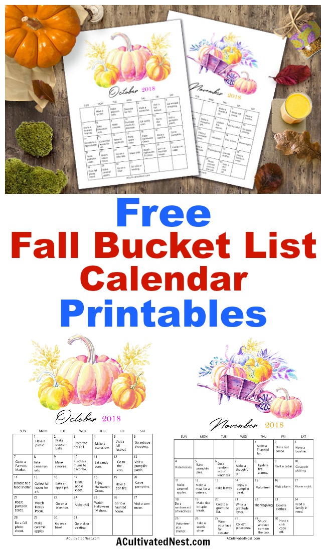 2018 Fall Bucket List Calendar Free Printables- Fall is a short season, but it doesn't have to cost a lot to enjoy it! To make the most of fall on a budget, get this free printable frugal fall bucket list calendar! | free printable 2018 calendar, #freePrintable #fall #frugalLiving #calendar #printable #bucketList #autumn #frugal #printableCalendar #freeCalendar #ACultivatedNest