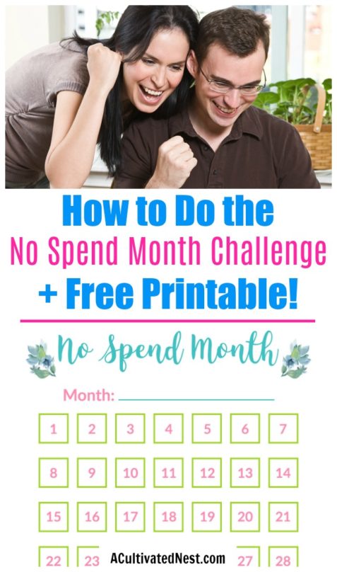 10 Free Dave Ramsey Inspired Personal Finance Printables- These 10 free budgeting printables inspired by Dave Ramsey are great ways to easily get your finances in order and save money! | #freePrintables #daveRamsey #budgeting #frugalLiving #ACultivatedNest