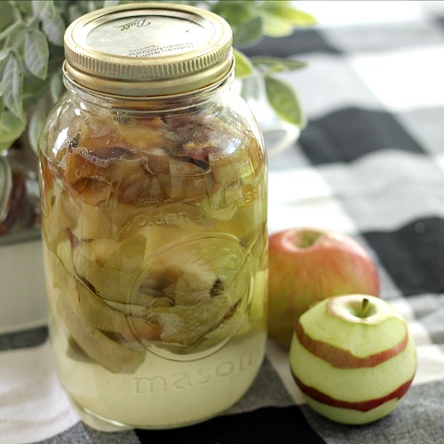 Reduce Food Waste: 10 Ways to Use Apple Peels- The next time you have extra apple peels left over, don't throw them away! Instead, put them to use with these super smart ways to use apple peels! | apple skins, ways to use apples, use all of an apple, reduce food waste, frugal living, #frugal #apples #ACultivatedNest