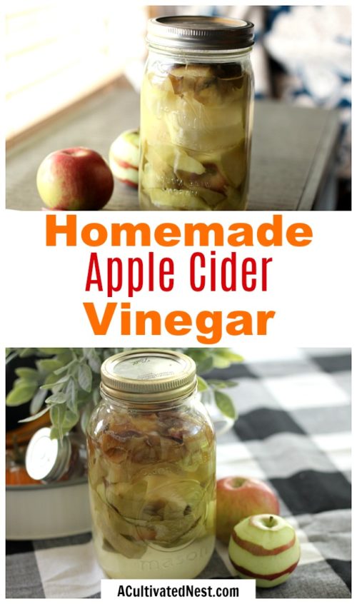 Homemade Apple Cider Vinegar- A Cultivated Nest