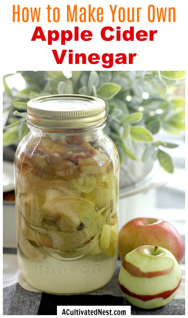 Homemade Apple Cider Vinegar- Tired of paying for costly commercial apple cider vinegar? Make your own at home for less! Here is how to make homemade apple cider vinegar! | #appleCiderVinegar #recipe #homemade #healthy #ACV #vinegar #food #drink #frugal #saveMoney #apples #ACultivatedNest