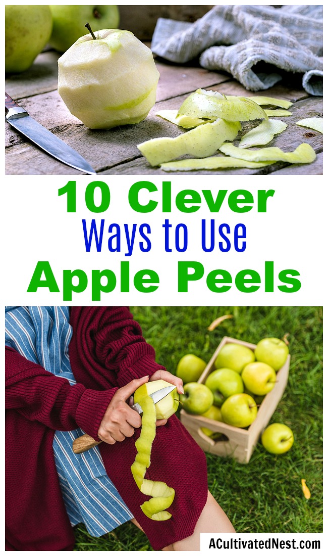 10 Clever Ways to Use Apple Peels- If you have a lot of apple peels left over from your meal prep, don't throw them out! Instead, put them to use with these clever ways to use apple peels! | apple skins, ways to use apples, use all of an apple, reduce food waste, frugal living, #frugalLiving #apples #ACultivatedNest