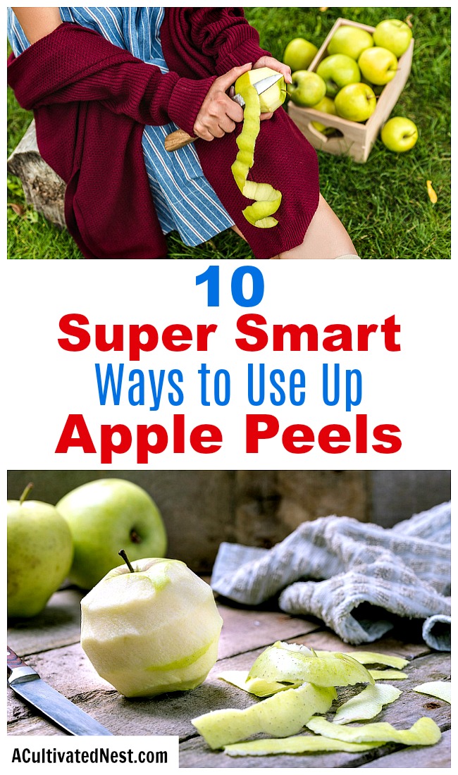 10 Clever Ways to Use Apple Peels- The next time you have extra apple peels left over, don't throw them away! Instead, put them to use with these super smart ways to use apple peels! | apple skins, ways to use apples, use all of an apple, reduce food waste, frugal living, #frugal #apples #ACultivatedNest