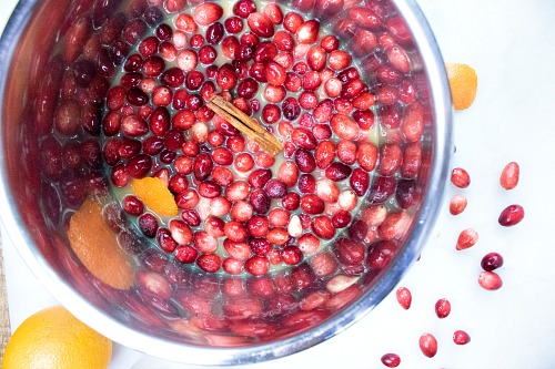 Easy Instant Pot Cranberry Sauce- Make your holiday dinner the most delicious one ever with this quick, easy, and inexpensive Instant Pot homemade cranberry sauce! | make your own cranberry sauce, Thanksgiving, Christmas, holiday food, #recipe #homemade #ACultivatedNest