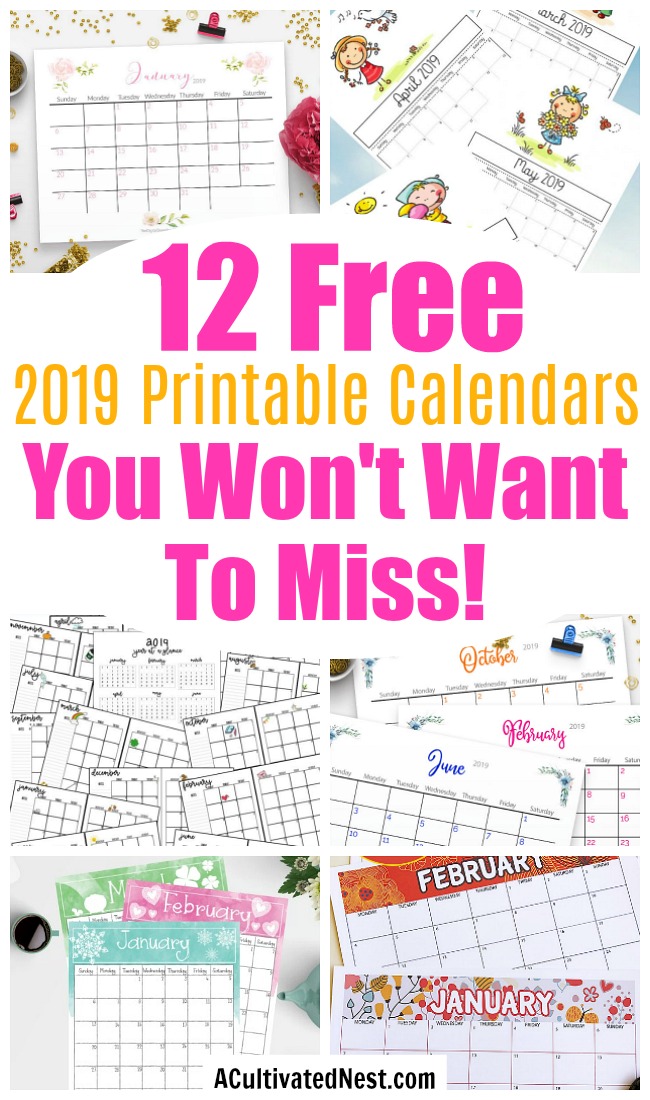 12 Free Printable 2019 Calendars- Why spend money on a calendar from the store, when you can get one of these beautiful free printable 2019 calendars! There are so many to choose from! | 2019 monthly calendar printables to download, coloring calendars, calendars for kids, #freePrintable #calendars #ACultivatedNest