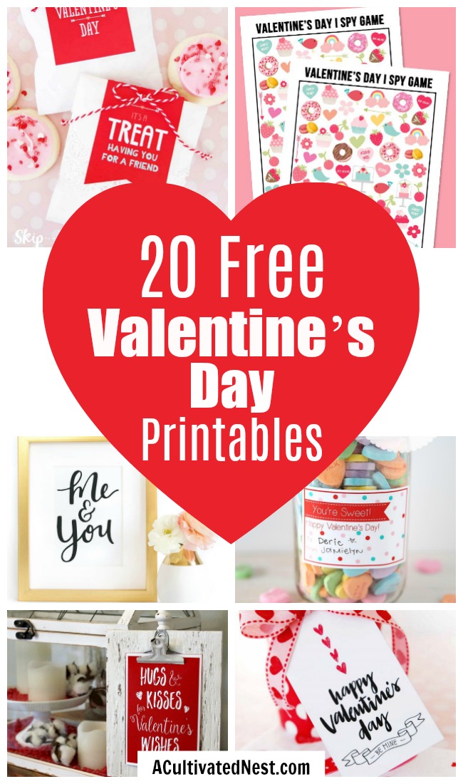 20 Adorable Valentine's Day Free Printables- If you want to decorate your home or decorate a gift for Valentine's Day, this collection of free printables has everything you could need! | Valentine's Day gift tags, Valentine's labels, Galentine's Day, Valentine's tags for kids, #freePrintables #Valentines #ACultivatedNest