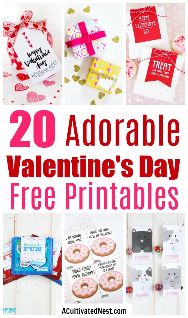 20 Adorable Valentine's Day Free Printables