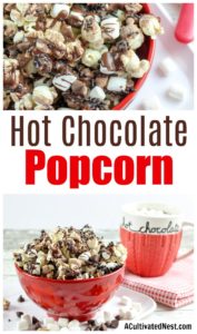 Hot Chocolate Popcorn- Winter Dessert Popcorn Recipe- A Cultivated Nest