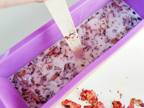 Coconut Rose DIY Soap Gift- If you want a luxurious homemade soap to use or give as a gift, you have to make this coconut rose DIY soap! It uses real rose petals! | DIYs that use essential oils, floral soap, how to make your own soap, melt and pour soap recipes, goat milk soap, #soap #DIY #ACultivatedNest