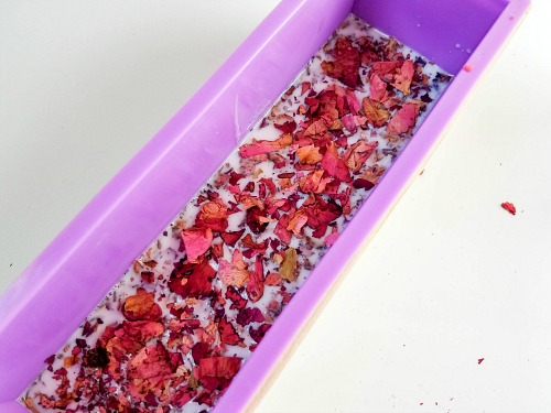 Coconut Rose Soap DIY- If you want a luxurious homemade soap to use or give as a gift, you have to make this coconut rose DIY soap! It uses real rose petals! | DIYs that use essential oils, floral soap, how to make your own soap, melt and pour soap recipes, goat milk soap, #soap #DIY #ACultivatedNest