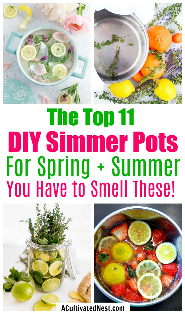 11-diy-simmer-pot-recipes-for-spring-and-summer-a-cultivated-nest