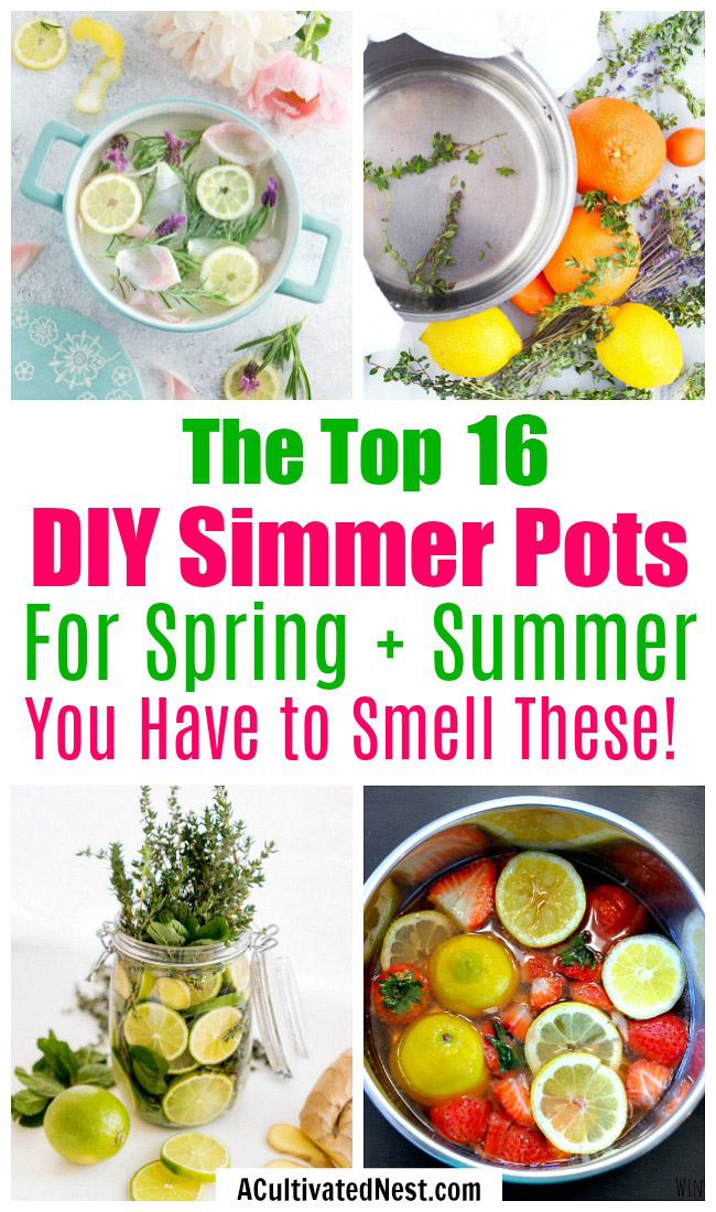 16 DIY Simmer Pot Recipes for Spring and Summer- An easy (and all-natural) way to make your home smell great this spring and summer is with these wonderful smelling DIY simmer pot recipes! | natural air freshener, how to make your home smell good, chemical-free DIY air freshener, #DIY #potpourri #simmerPot #diySimmerPot #ACultivatedNest
