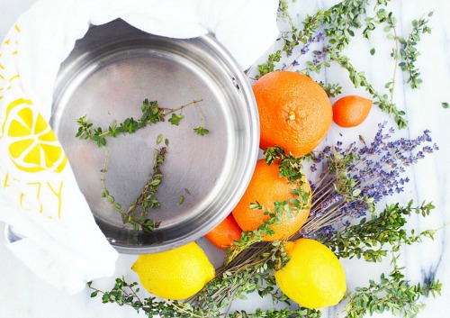 Lemon Lavender Simmer Pot- An easy (and all-natural) way to make your home smell great this spring and summer is with these wonderful smelling DIY simmer pot recipes! | natural air freshener, how to make your home smell good, chemical-free DIY air freshener, #DIY #potpourri #ACultivatedNest