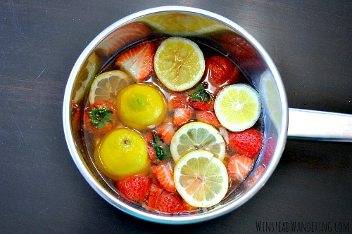 How To Freshen Your Home With A Simmer Pot (Stovetop Potpourri) • GrownUp  Dish