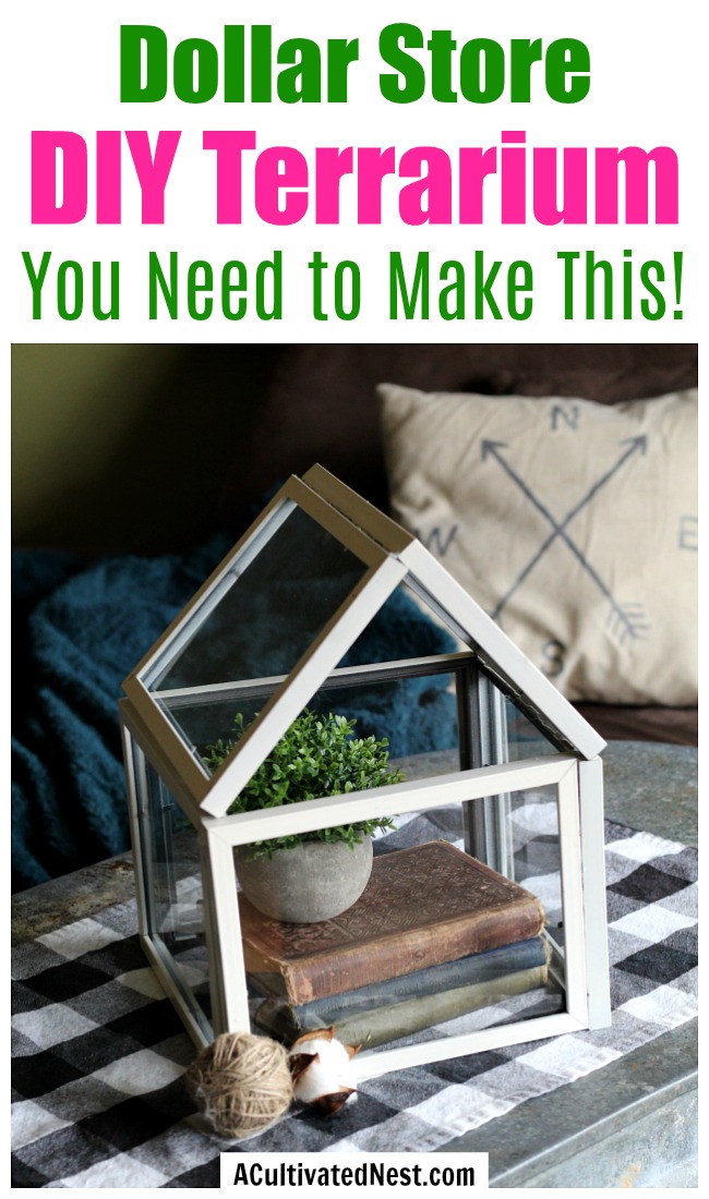 Dollar Store DIY Terrarium- If you want to highlight your decor or create a beautiful focal point, you need to make this beautiful (and easy) dollar store decor DIY! Here's how I made this dollar store DIY terrarium for less than 10 bucks! | dollar store decorating, Dollar Tree DIY, #dollarStoreDIY #DIY #ACultivatedNest