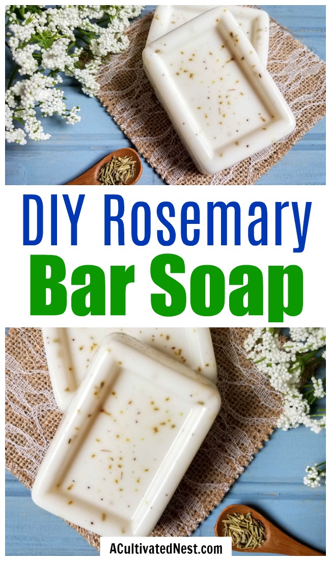 Homemade Rosemary Soap- This homemade rosemary soap only requires a few materials, but the final DIY bar soap feels so wonderful on your skin! This also makes a wonderful homemade gift! | DIY gift ideas, how to make soap, melt and pour soap recipes, essential oils, #homemadeSoap #diy #ACultivatedNest