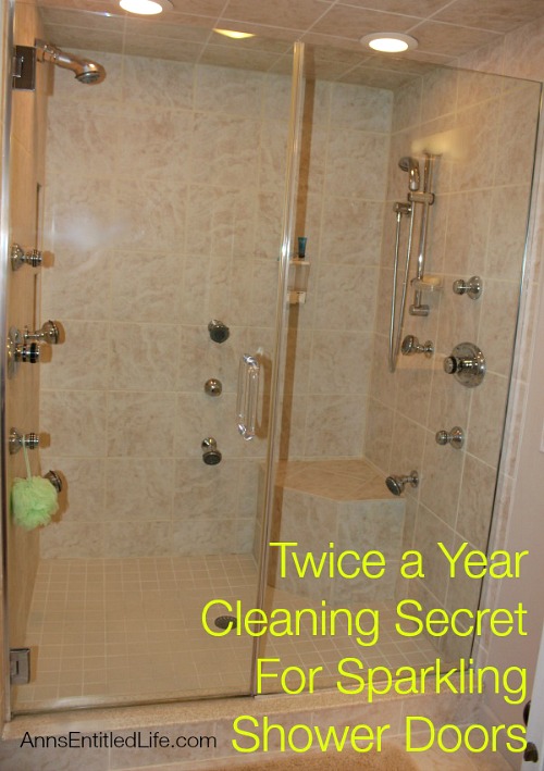 11 Brilliant Hacks to Clean Glass Shower Doors - Organization