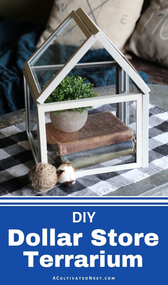 Dollar Store DIY Terrarium- An easy and inexpensive way to update your home's décor is with dollar store DIY projects! This dollar store DIY terrarium would look gorgeous in any home! | #DIY #dollarStoreDIY #diyProejcts #diyDecor #ACultivatedNest