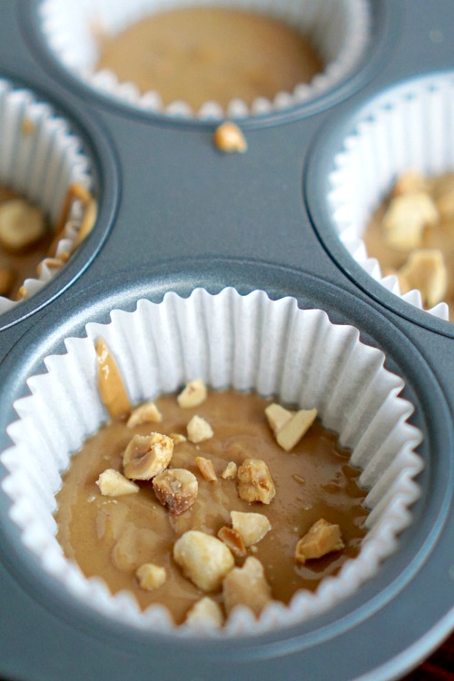 No Bake Peanut Butter Bites- These no-bake peanut butter bites are a delicious and healthy treat that are really easy to mix up! And they only use 5 ingredients! | #recipe #peanutButter #dessert #snack #ACultivatedNest