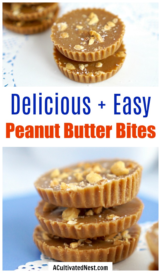 Easy Peanut Butter Bites- If you want an easy, healthy, and delicious no-bake treat, then you have to make these peanut butter bites! They only use 5 ingredients! | #recipe #peanutButter #snack #dessert #ACultivatedNest
