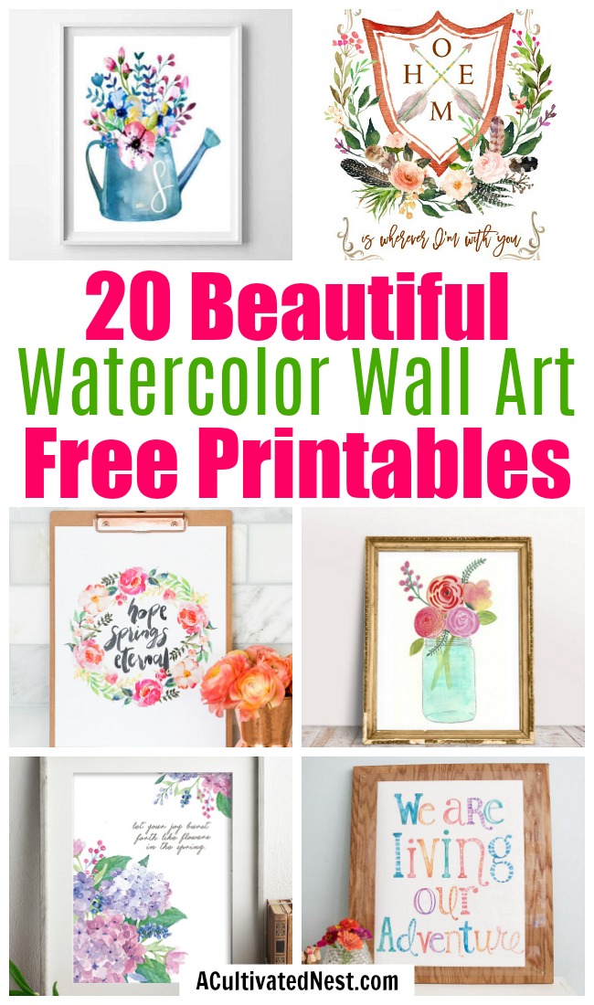 20 Gorgeous Watercolor Wall Art Free Printables- Free printables are a great way to update your home's decor on a budget! If your home's art needs a refresh, check out these 20 beautiful watercolor wall art free printables! | watercolor art prints, floral art prints, spring wall art, summer wall art, flower art prints, #wallArt #freePrintable #decor #ACultivatedNest