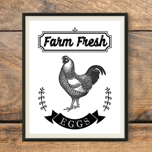 Free Printable Farmhouse Chicken Wall Art- Add some lovely farmhouse style decor to your home with this free printable farmhouse chicken wall art! This Farm Fresh Eggs sign printable would look especially lovely in your kitchen! | farmhouse decor wall art, farm animal wall art,#freePrintable #freePrintables #farmhouseStyle #ACultivatedNest