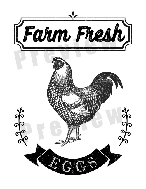 Farmhouse Wall Art Free Printable- Add some lovely farmhouse style decor to your home with this free printable farmhouse chicken wall art! This Farm Fresh Eggs sign printable would look especially lovely in your kitchen! | farmhouse decor wall art, farm animal wall art,#freePrintable #freePrintables #farmhouseStyle #ACultivatedNest