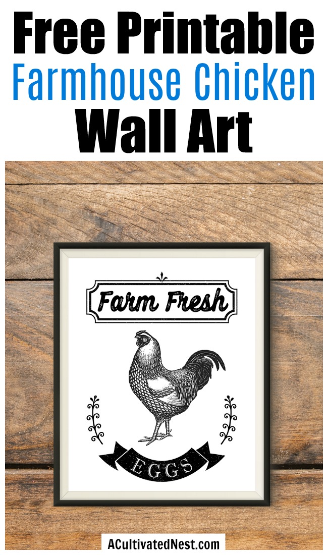 Free Printable Farmhouse Chicken Wall Art- If you want to add a touch of farmhouse style decor to your home, you need to get this free printable farmhouse chicken wall art! This Farm Fresh Eggs wall art free printable would look especially lovely in your kitchen! | farmhouse decor wall art, farm animal wall art,#freePrintable #freePrintables #farmhouseDecor #ACultivatedNest