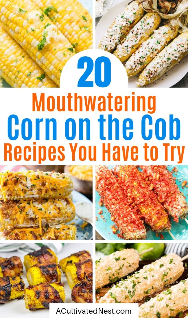 20 Mouthwatering Corn On the Cob Recipes