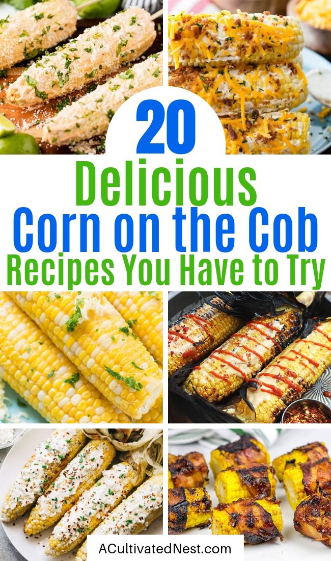 20 Mouthwatering Corn On the Cob Recipes