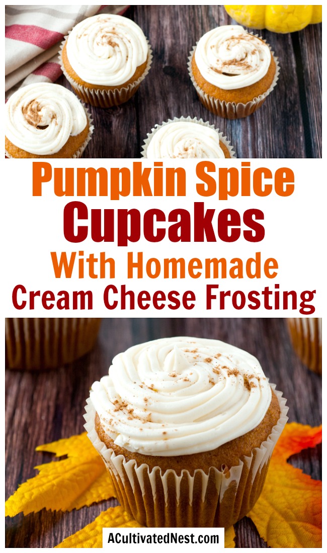 Pumpkin Spice Cupcakes with Cream Cheese Frosting