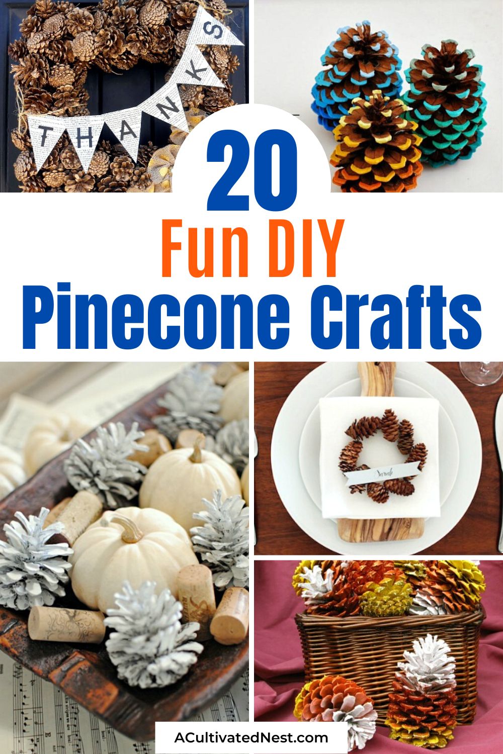 20 Fun DIY Pinecone Crafts