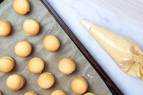 Mini Pumpkin Cheesecake Sandwich No Bake Cookies- These mini pumpkin cheesecake sandwich cookies are just the perfect snacking size! One isn't going to be enough and with one taste, you'll see why! | fall dessert recipes, autumn treat recipes, #recipe #pumpkin #dessert #cookies #ACultivatedNest