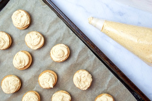 No Bake Pumpkin Cheesecake Sandwich Cookies- These mini pumpkin cheesecake sandwich cookies are just the perfect snacking size! One isn't going to be enough and with one taste, you'll see why! | fall dessert recipes, autumn treat recipes, #recipe #pumpkin #dessert #cookies #ACultivatedNest