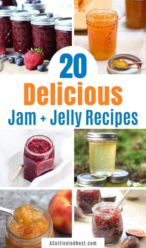 20 Delicious Homemade Jams and Jellies- A Cultivated Nest