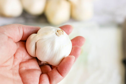 How to Roast Garlic at Home- This homemade roasted garlic is the perfect addition to tons of dishes! If you want to learn how to roast garlic at home, it's very easy, and delicious! | #garlic #homemade #recipe #roastedGarlic #ACultivatedNest