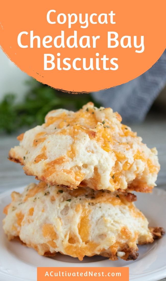 Copycat Red Lobster Cheddar Bay Biscuits- If you want something delicious to serve with your next meal, make these copycat Red Lobster Cheddar Bay Biscuits! They are soft, warm, full of flavor and very easy to make! | #copycatRecipe #homemade #biscuits #food #ACultivatedNest