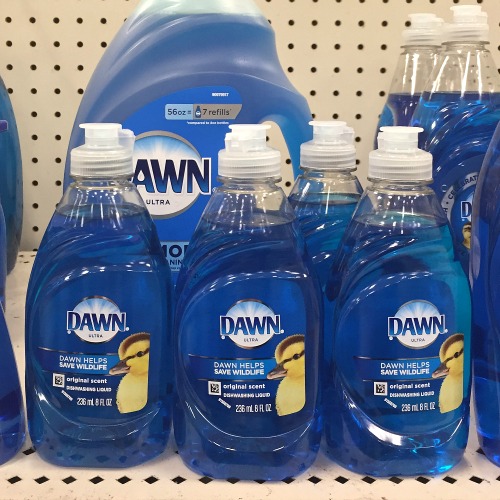 Dawn Dish Soap Blue [Gallon]