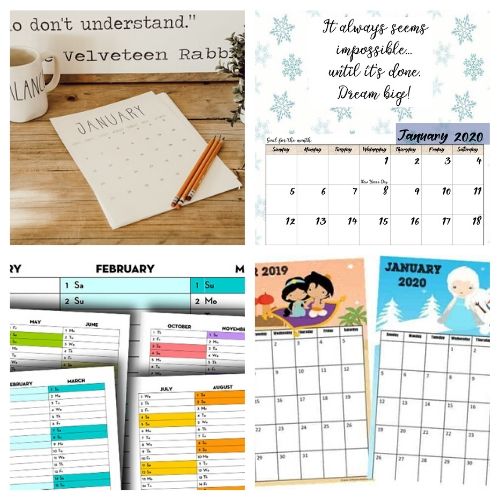 20 Free 2020 Calendar Printables- If you need a new calendar for 2020, you have to check out these 20 free printable 2020 calendars! There are so many fun and pretty designs to choose from! | #freePrintables #printableCalendar #printable #freePrintable #ACultivatedNest
