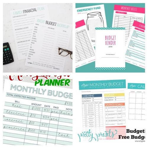 20 Budget Planner Free Printables- If you want to get your finances organized and start working toward financial freedom, then you need to check out these free printable budget templates! | budgeting printables, budget binder printable, family finance planner printable, #freePrintables #freePrintable #budgeting #budget #ACultivatedNest