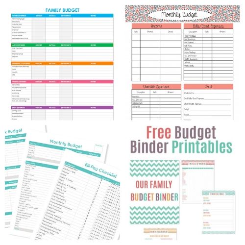 20 Budget Binder Free Printables- If you want to get your finances organized and start working toward financial freedom, then you need to check out these free printable budget templates! | budgeting printables, budget binder printable, family finance planner printable, #freePrintables #freePrintable #budgeting #budget #ACultivatedNest